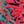 color-img