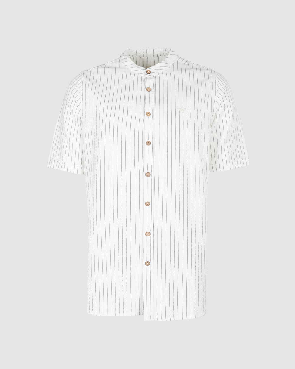 پیراهن دانشور