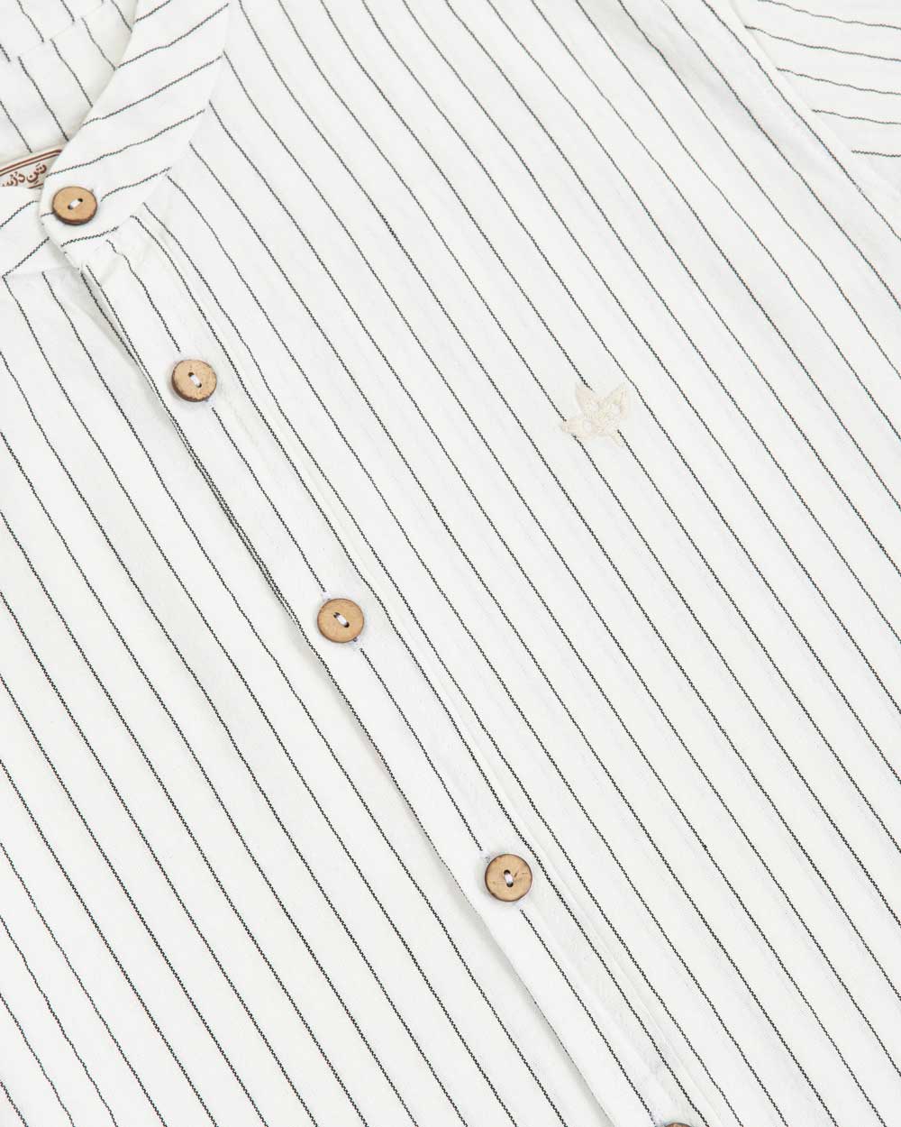 پیراهن دانشور