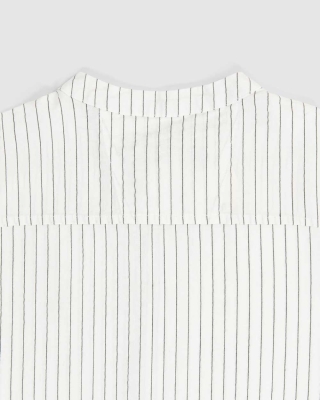 پیراهن دانشور