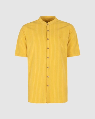 پیراهن دانشور