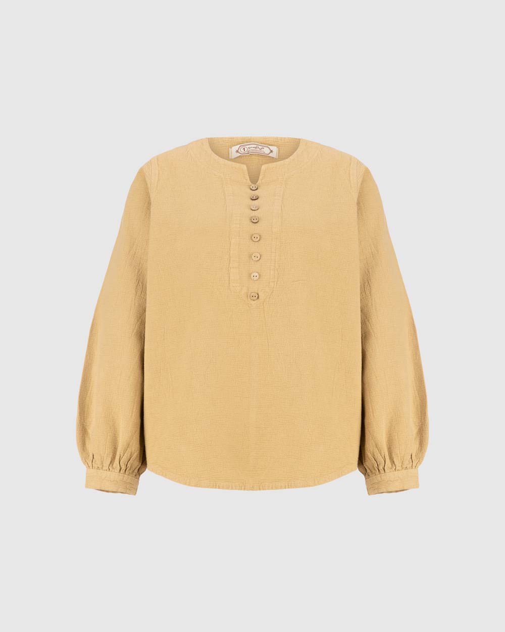 بلوز دلاریس