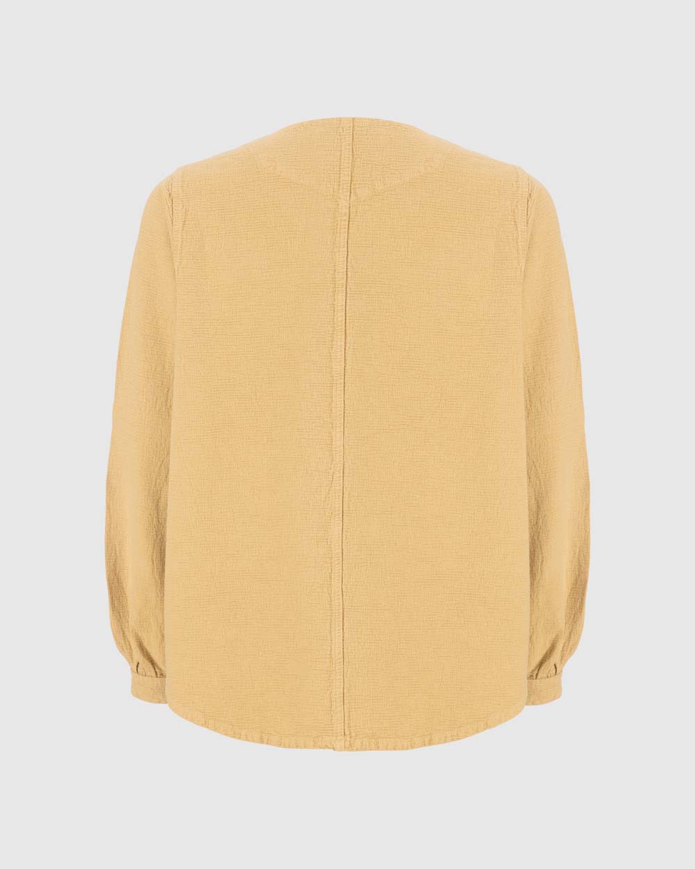 بلوز دلاریس